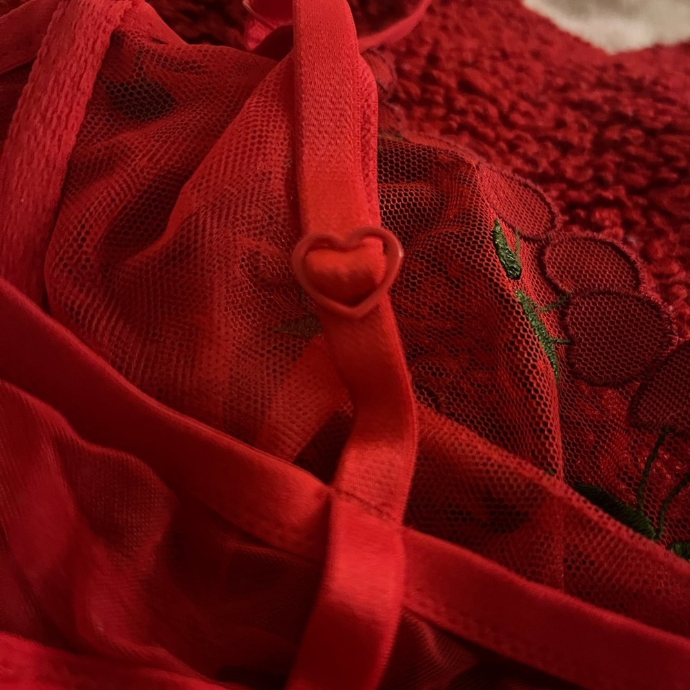 For Love And Lemons Red Cherry Embroidered Bra - Picture 5 of 6